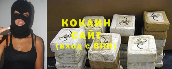 дмт Алексин
