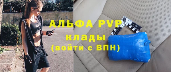 твердый Алексеевка