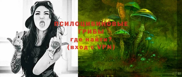 твердый Алексеевка