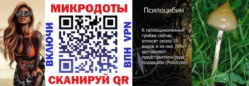 Псилоцибиновые грибы Magic Shrooms  кракен маркетплейс  Спасск-Дальний 